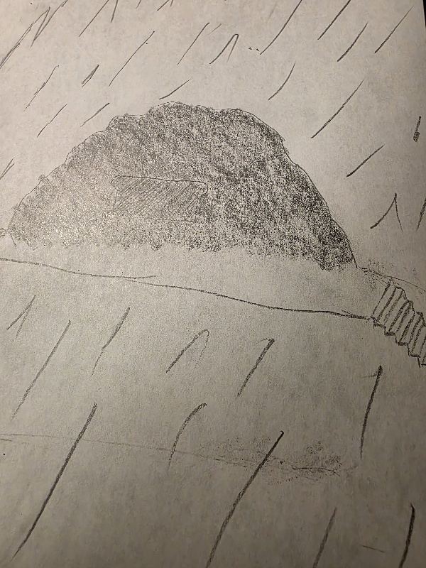 20260815_204531.jpg